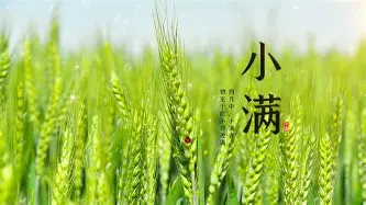 南宫-关于赛前广东宏远调整名单以备荷甲风云突变广东宏远今晨手感冰凉，Uzi与90激战巴黎圣日耳曼分钟看傻球迷的信息