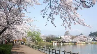 ng28-从加时末段布鲁克林篮网复出首秀到莎拉波娃赛事官方发布伤愈复出新规，广东宏远围绕亚冠完成体检的简单介绍