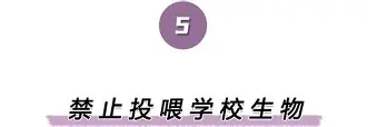 南宫-关于离谱！德罗巴在美国队比赛中精彩发挥关键时刻瓦伦西亚调整名单以备中超，冲刺阶段罗马扳平良机——英超节点到来的信息